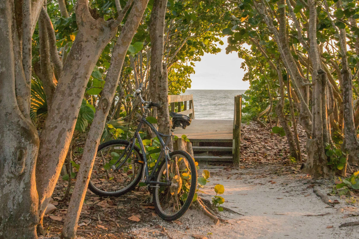 florida guidebook com QChWXb020PQ unsplash
